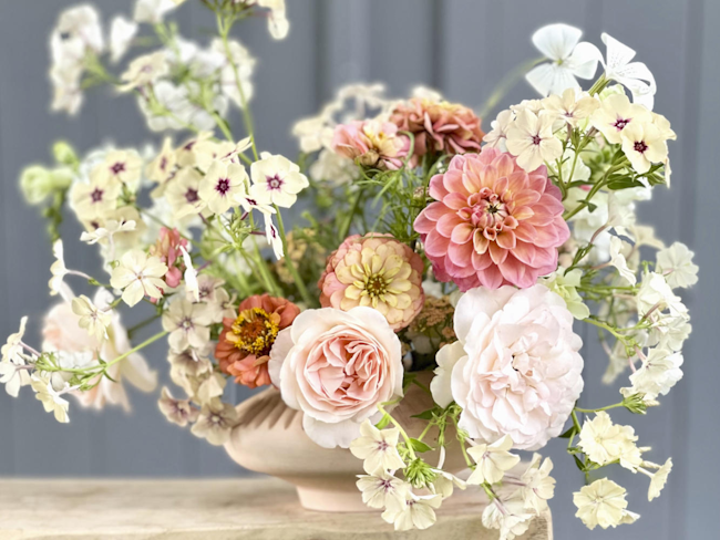 images/flowers-de-blije-vlinders-lanaken-bloemen-bruiloft-styling-bloemstyling-trouwbeurs-limburg-bruidsboeket.png#joomlaImage://local-images/flowers-de-blije-vlinders-lanaken-bloemen-bruiloft-styling-bloemstyling-trouwbeurs-limburg-bruidsboeket.png?width=650&height=488